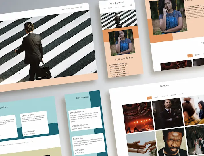 visualization of the Nina Carducci project